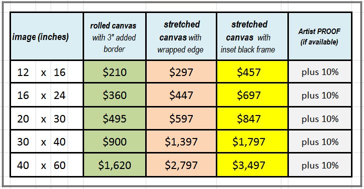 2018-Tooley-art-canvas-giclee-prices