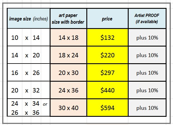 2018-Tooley-art-paper-giclee-prices