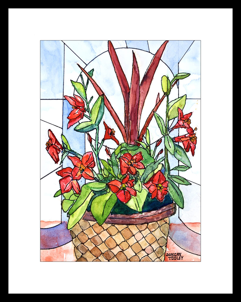  terrace-basket-flower-joy by Duncan Tooley